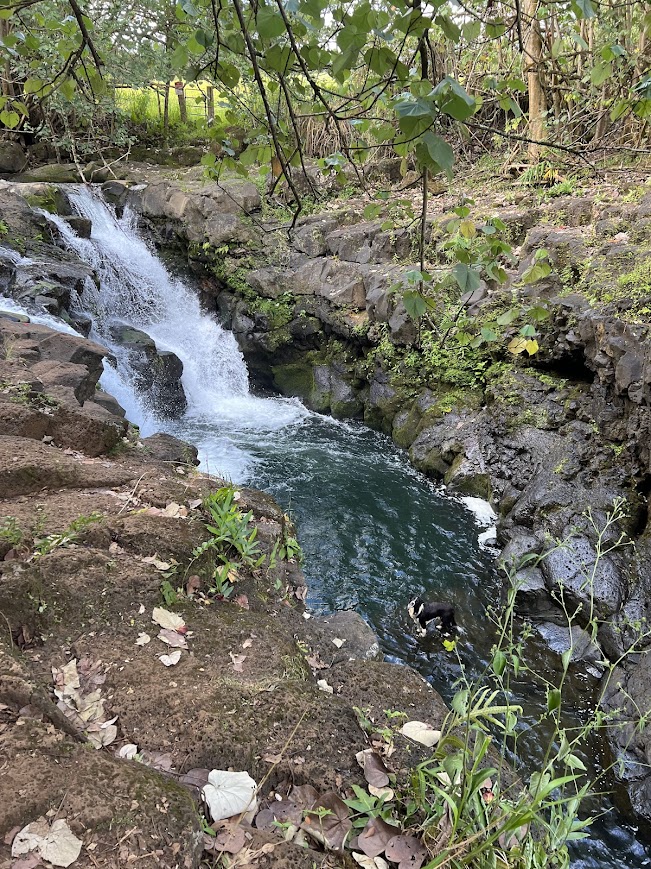 Fantasy Waterfall Extravaganza stream